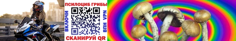 это наркотические препараты  omg зеркало  Тында  Галлюциногенные грибы Cubensis 