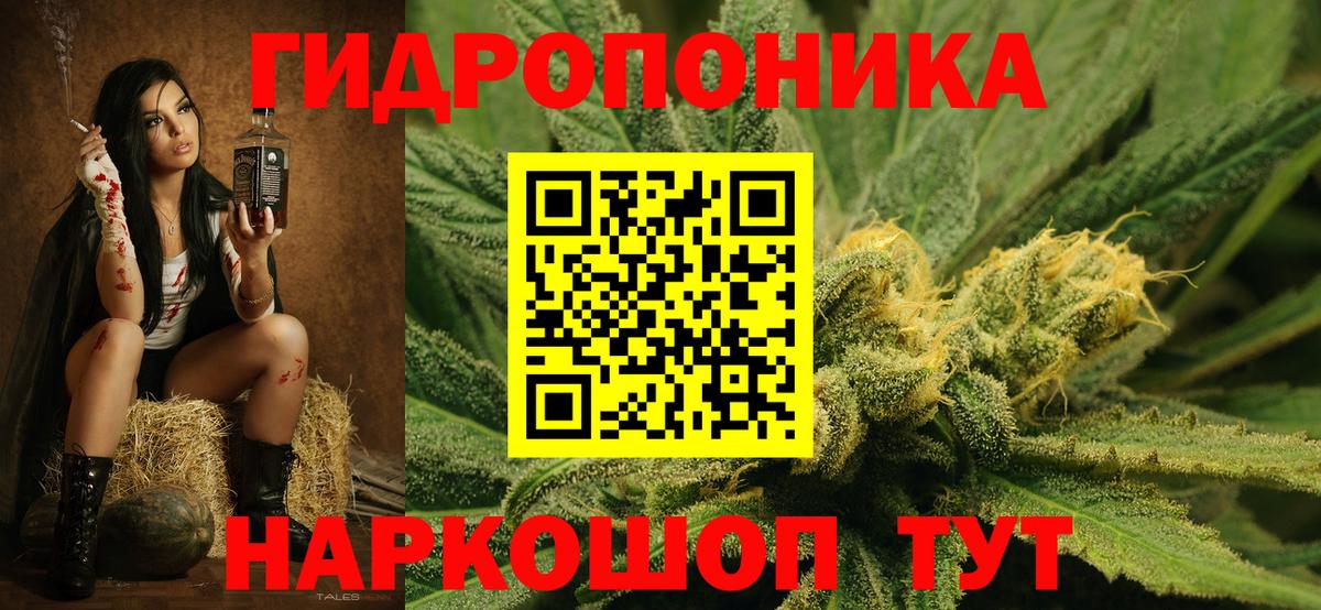 Шишки марихуана марихуана Тында